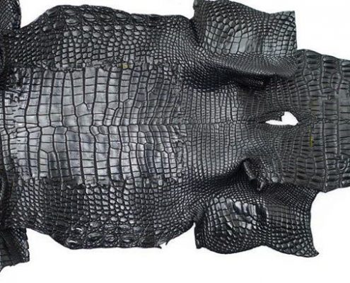 alligator skin