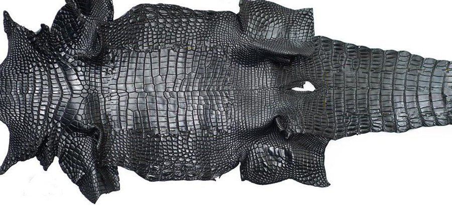 alligator skin