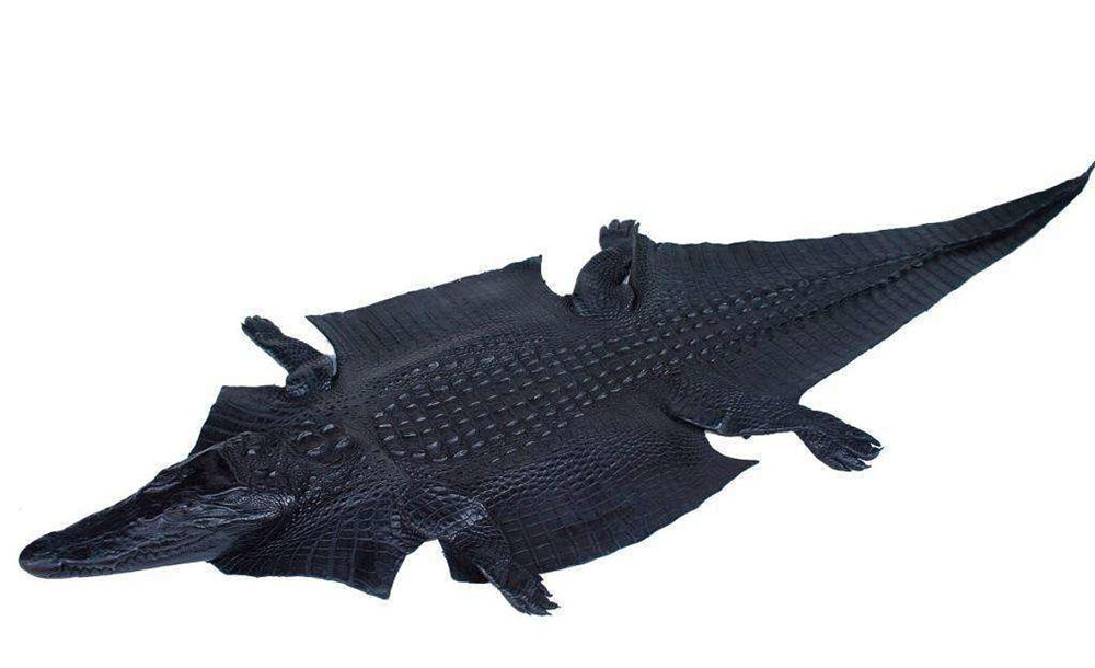 Crocodile Leather